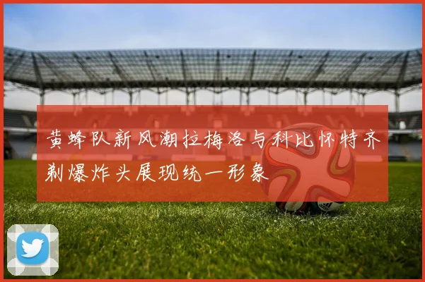 黄蜂队新风潮拉梅洛与科比怀特齐剃爆炸头展现统一形象