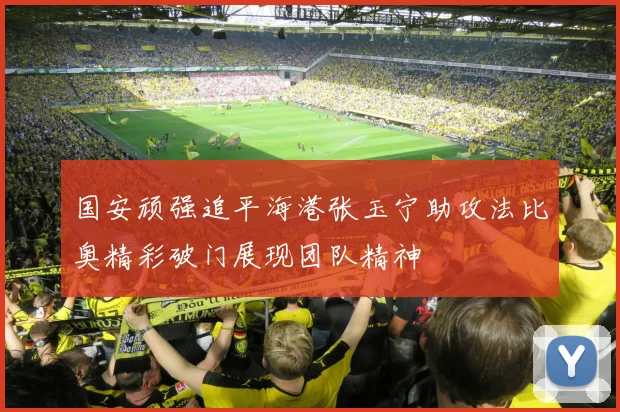 国安顽强追平海港张玉宁助攻法比奥精彩破门展现团队精神